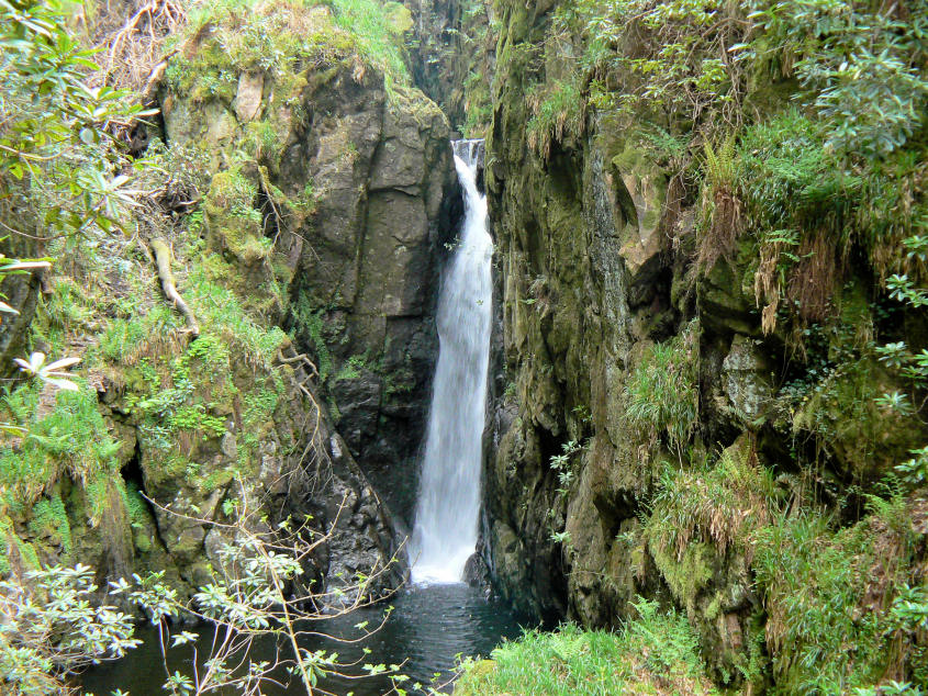 Stanley Force Stanley Force